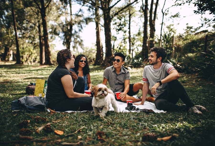 How to Quickly switch from Night Shift to Day Shift - The Other Shift - Picnic in Park Friends