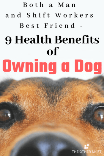 Both a Man and Shift Workers Best Friend- 9 Health Benefits of Owning a Dog - The Other Shift