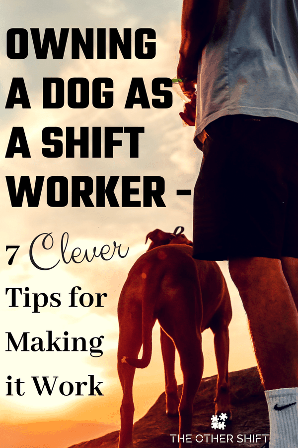 Are you a shift worker and really want a dog? The health benefits of dog ownership are amazing! Here are 7 very useful tips to make shift work and owning a dog work, even if you work 12 hours shifts! #shiftworktip #shiftworkhealth #doglover