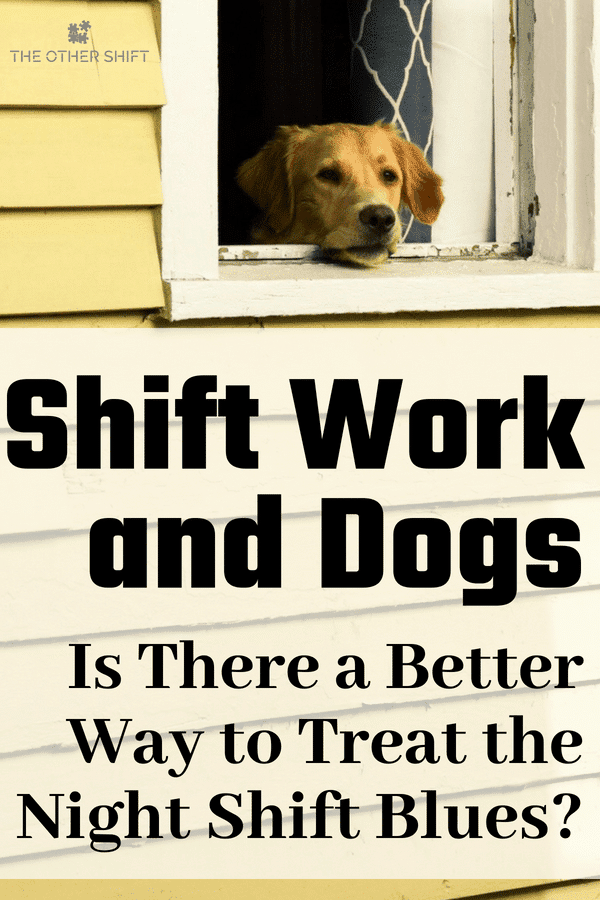 Need a friendly face after night shift? Owning a dog will give you this every morning! Come and see how to make it all work despite long hours #shiftworktip #shiftworkdog