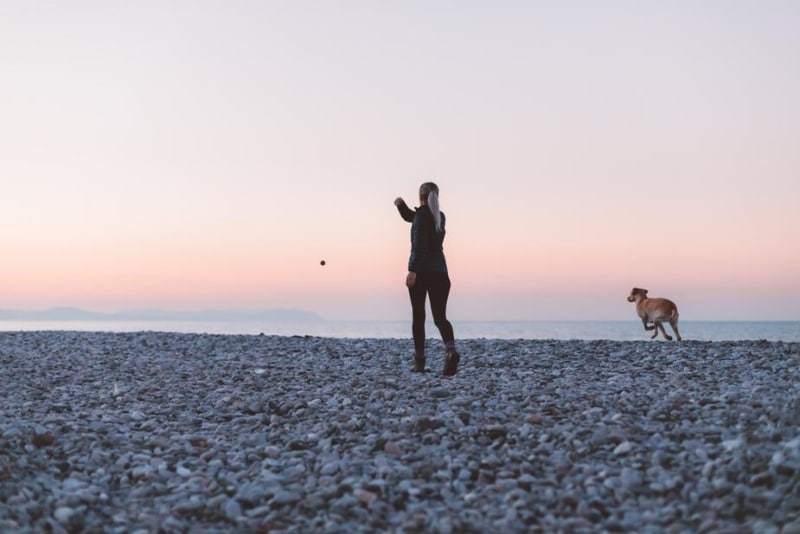 women playing catch with dog on beach at night