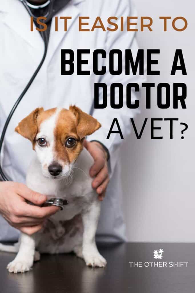 vet and small dog